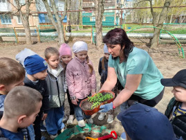 Новости от эколят Новости от эколят.